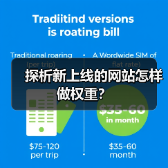 探析新上线的网站怎样做权重?(图3) 探析新上线的网站怎样做权重?(图3)