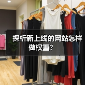 探析新上线的网站怎样做权重?(图4) 探析新上线的网站怎样做权重?(图4)