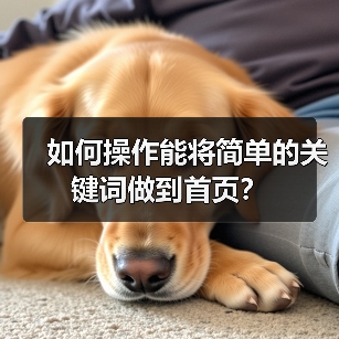 如何操作能将简单的关键词做到首页?(图3) 如何操作能将简单的关键词做到首页?(图3)