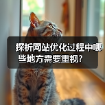 探析网站优化过程中哪些地方需要重视?(图2) 探析网站优化过程中哪些地方需要重视?(图2)
