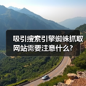 吸引搜索引擎蜘蛛抓取网站需要注意什么? - 辰飞雨幕帆 AI 科技
