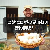 网站流量减少受那些因素影响呢？ - 辰飞雨幕帆 AI 科技