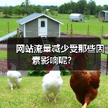 网站流量减少受那些因素影响呢？(图3)