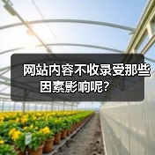 网站内容不收录受那些因素影响呢?(图3) 网站内容不收录受那些因素影响呢?(图3)