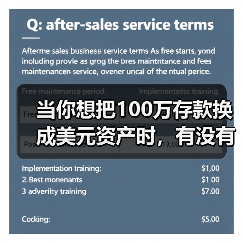 当你想把100万存款换成美元资产时，有没有在深夜反复问过自己：美国对美元投资，真 - 辰飞雨幕帆 AI 科技
