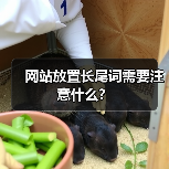 网站放置长尾词需要注意什么？(图3)
