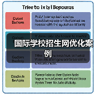 国际学校招生网优化案例(图1) 国际学校招生网优化案例(图1)