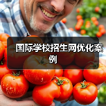 国际学校招生网优化案例(图2) 国际学校招生网优化案例(图2)