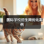 国际学校招生网优化案例(图4) 国际学校招生网优化案例(图4)