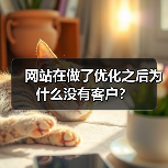网站在做了优化之后为什么没有客户?(图2) 网站在做了优化之后为什么没有客户?(图2)
