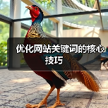 优化网站关键词的核心技巧(图3) 优化网站关键词的核心技巧(图3)