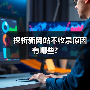 探析新网站不收录原因有哪些?(图2) 探析新网站不收录原因有哪些?(图2)
