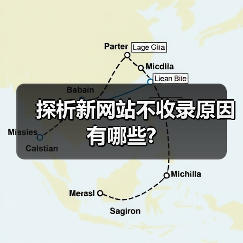 探析新网站不收录原因有哪些?(图3) 探析新网站不收录原因有哪些?(图3)
