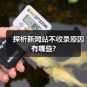 探析新网站不收录原因有哪些?(图4) 探析新网站不收录原因有哪些?(图4)