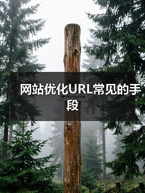 网站优化URL常见的手段 - 辰飞雨幕帆 AI 科技