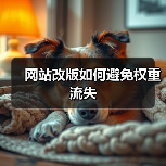 网站改版如何避免权重流失(图3) 网站改版如何避免权重流失(图3)