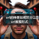 url的种类如何区分以及url展现形式 - 辰飞雨幕帆 AI 科技
