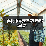 优化中需要注意哪些问题呢?(图2) 优化中需要注意哪些问题呢?(图2)