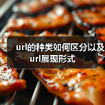 url的种类如何区分以及url展现形式(图4) url的种类如何区分以及url展现形式(图4)
