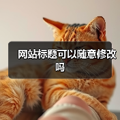 网站标题可以随意修改吗(图3) 网站标题可以随意修改吗(图3)