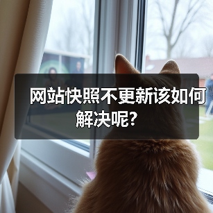 网站快照不更新该如何解决呢? - 辰飞雨幕帆 AI 科技