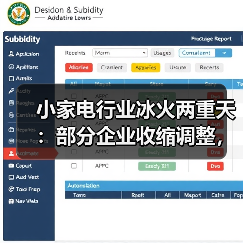 小家电行业冰火两重天：部分企业收缩调整，另一些却加速扩产 - 辰飞雨幕帆 AI 科技