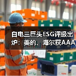 白电三巨头ESG评级出炉:美的、海尔获AAApi级,格力获AApi级(图3) 白电三巨头ESG评级出炉:美的、海尔获AAApi级,格力获AApi级(图3)