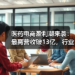 医药电商盈利潮来袭：最高营收破13亿，行业加速发展？ - 辰飞雨幕帆 AI 科技