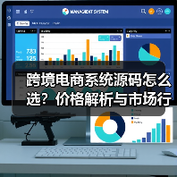跨境电商系统源码怎么选？价格解析与市场行情全攻略 - 辰飞雨幕帆 AI 科技