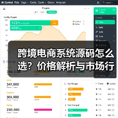 跨境电商系统源码怎么选？价格解析与市场行情全攻略(图2)