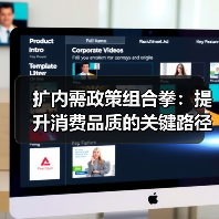 扩内需政策组合拳：提升消费品质的关键路径 - 辰飞雨幕帆 AI 科技