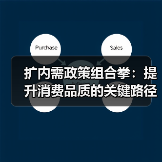 扩内需政策组合拳:提升消费品质的关键路径(图3) 扩内需政策组合拳:提升消费品质的关键路径(图3)