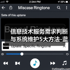 信息技术服务需求判断与系统维护5大方法-蓝帝科技经验分享(图3) 信息技术服务需求判断与系统维护5大方法-蓝帝科技经验分享(图3)