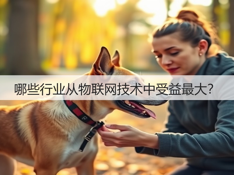 哪些行业从物联网技术中受益最大？(图3)