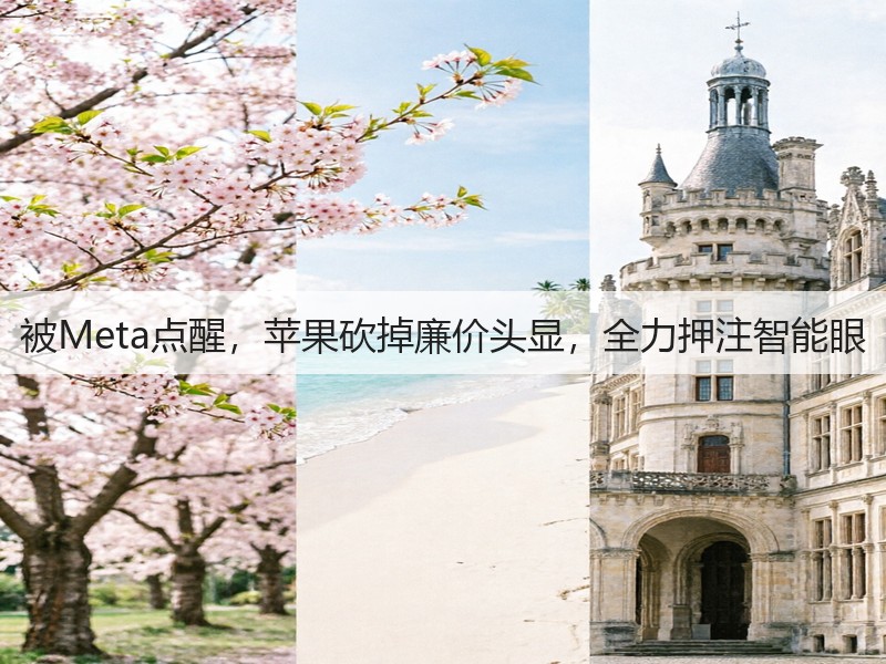 被Meta点醒,苹果砍掉廉价头显,全力押注智能眼(图2) 被Meta点醒,苹果砍掉廉价头显,全力押注智能眼(图2)