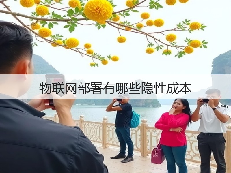 物联网部署有哪些隐性成本(图2) 物联网部署有哪些隐性成本(图2)