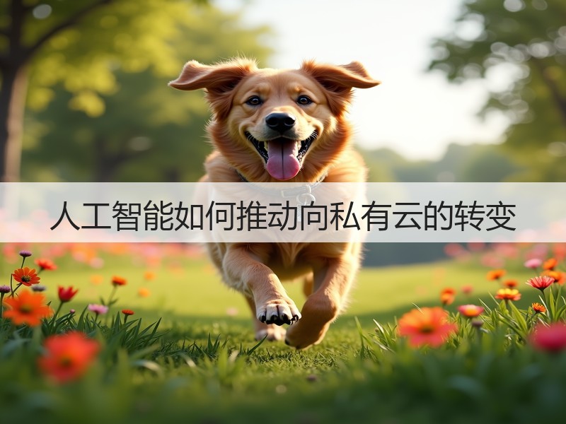 人工智能如何推动向私有云的转变(图2) 人工智能如何推动向私有云的转变(图2)