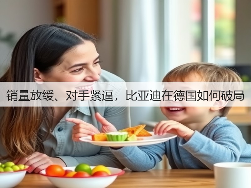 销量放缓、对手紧逼,比亚迪在德国如何破局(图2) 销量放缓、对手紧逼,比亚迪在德国如何破局(图2)