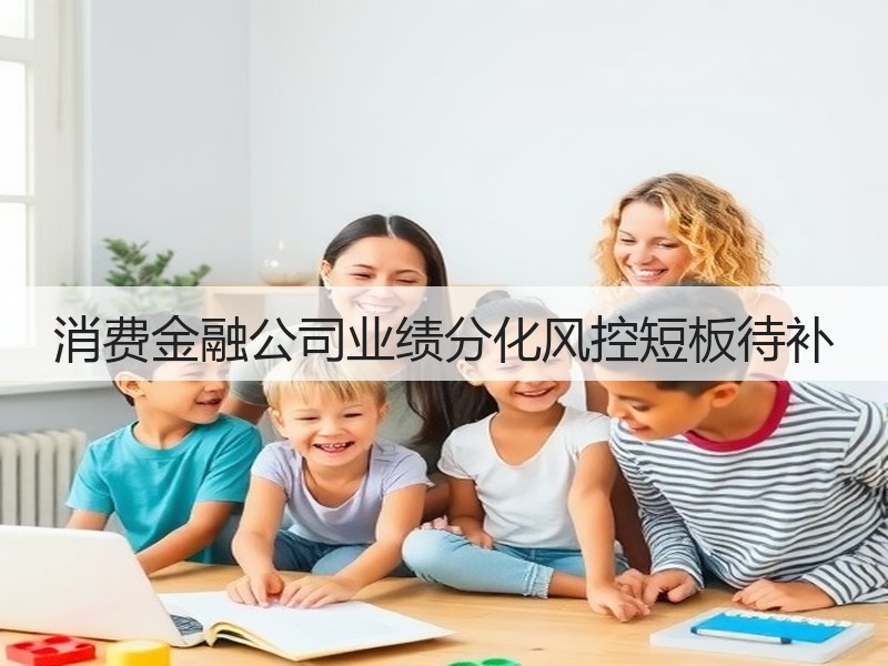 消费金融公司业绩分化风控短板待补(图3) 消费金融公司业绩分化风控短板待补(图3)