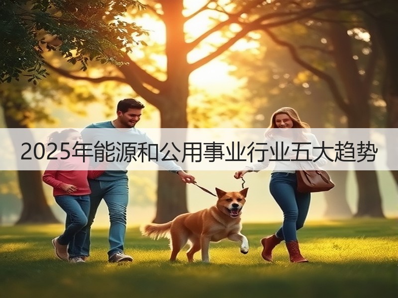 2025年能源和公用事业行业五大趋势(图2) 2025年能源和公用事业行业五大趋势(图2)
