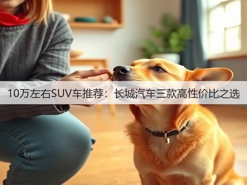 10万左右SUV车推荐:长城汽车三款高性价比之选(图3) 10万左右SUV车推荐:长城汽车三款高性价比之选(图3)