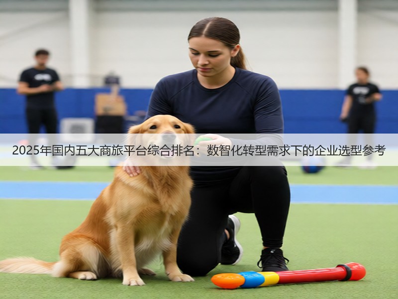 2025年国内五大商旅平台综合排名:数智化转型需求下的企业选型参考(图3) 2025年国内五大商旅平台综合排名:数智化转型需求下的企业选型参考(图3)