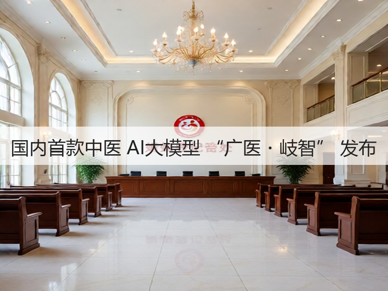 国内首款中医 AI大模型 “广医・岐智” 发布(图3)