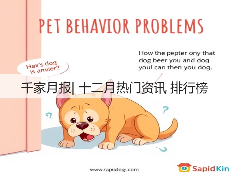 千家月报| 十二月热门资讯 排行榜(图3) 千家月报| 十二月热门资讯 排行榜(图3)