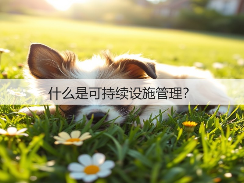 什么是可持续设施管理?(图1) 什么是可持续设施管理?(图1)