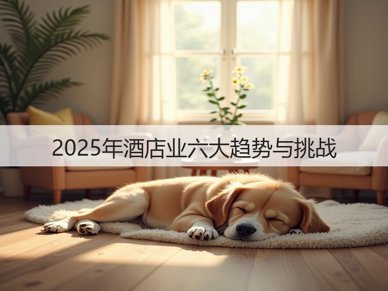 2025年酒店业六大趋势与挑战(图3) 2025年酒店业六大趋势与挑战(图3)