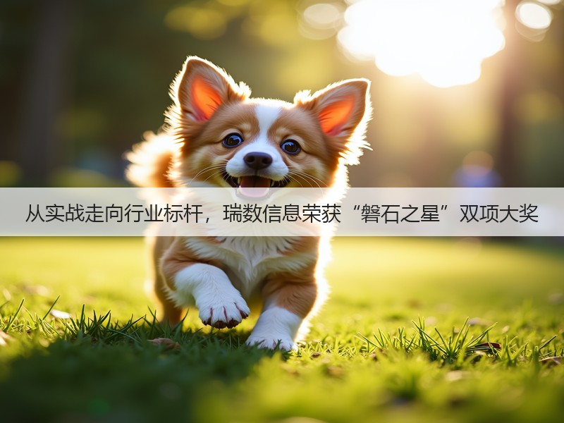 从实战走向行业标杆，瑞数信息荣获“磐石之星”双项大奖(图3)