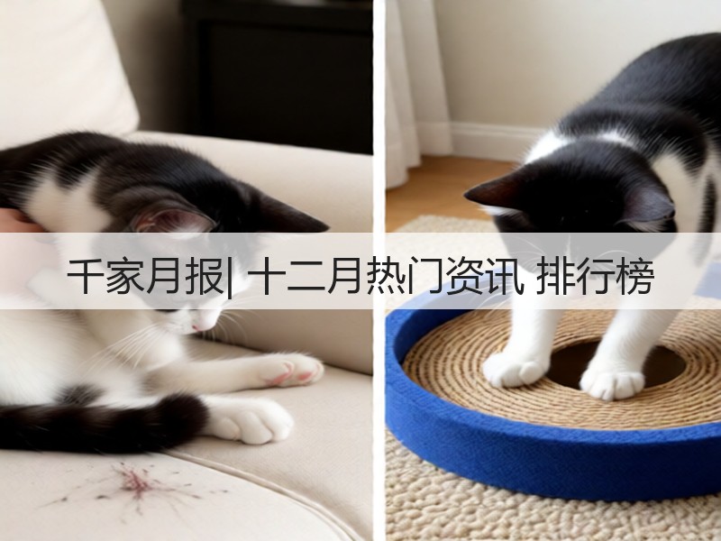 千家月报| 十二月热门资讯 排行榜(图3)