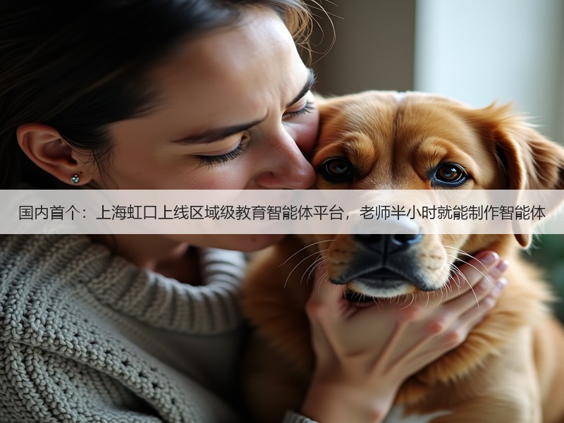 国内首个:上海虹口上线区域级教育智能体平台,老师半小时就能制作智能体(图2) 国内首个:上海虹口上线区域级教育智能体平台,老师半小时就能制作智能体(图2)