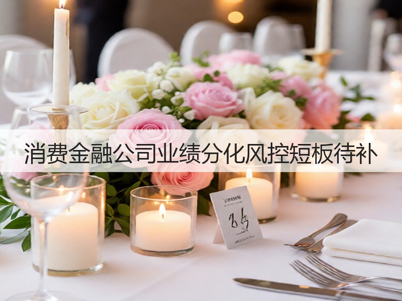 消费金融公司业绩分化风控短板待补(图3) 消费金融公司业绩分化风控短板待补(图3)
